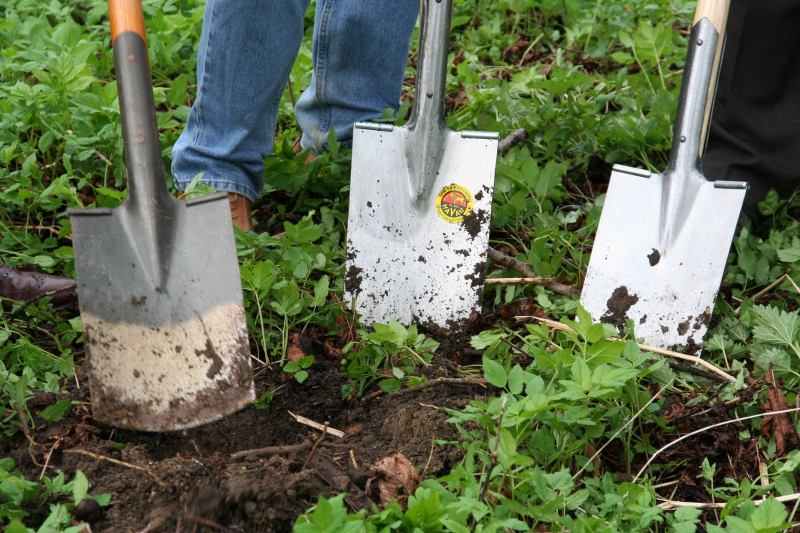 pepiniere-EZE-min_work-lawn-flower-tool-green-backyard-1103633-pxhere.com